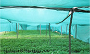 AGRICULTURAL NET