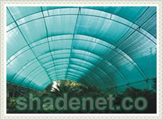 Agricultural Green Shade Net
