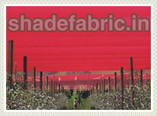 Agriculture Shade Nets