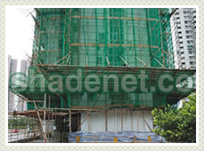 Scaffolding Nets